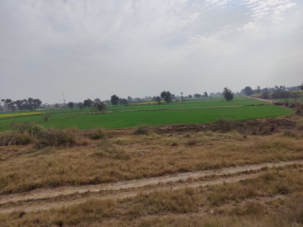 agricultural land for sale